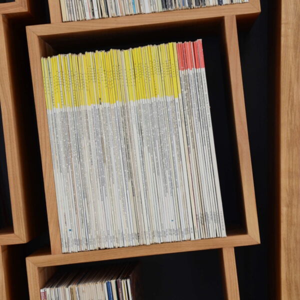 Sinfonic Audio platenkast 8+1 vakken